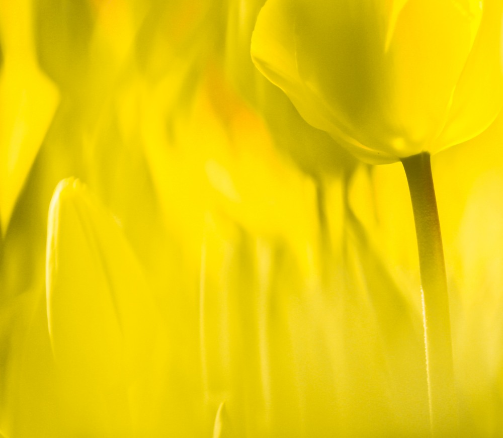 9. Platz Sieglinde Senser